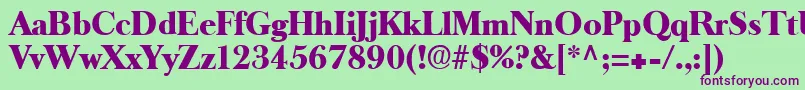 LongislandRegular Font – Purple Fonts on Green Background