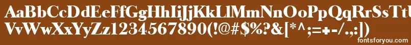 LongislandRegular Font – White Fonts on Brown Background