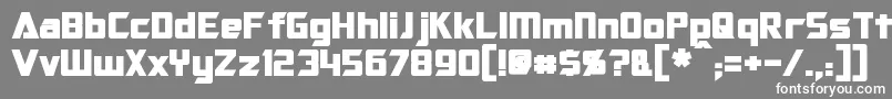 OptimusBold Font – White Fonts on Gray Background
