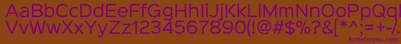Sinkinsans400regular Font – Purple Fonts on Brown Background