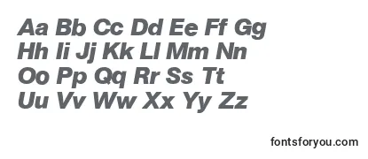 AtkinsBolditalic Font