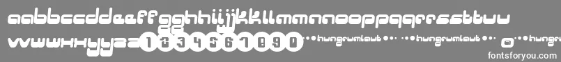 Hungrumlaut Font – White Fonts on Gray Background