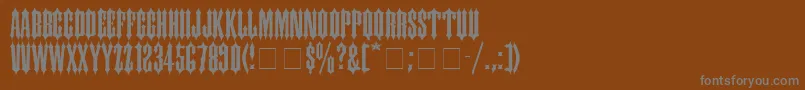 CantinaSsi Font – Gray Fonts on Brown Background