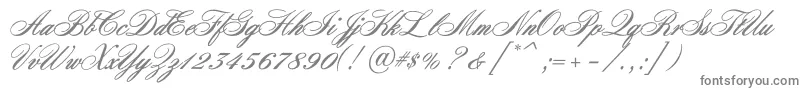 Nocturnec Font – Gray Fonts on White Background