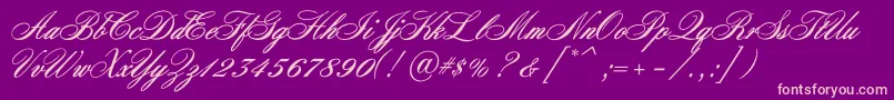 Nocturnec Font – Pink Fonts on Purple Background