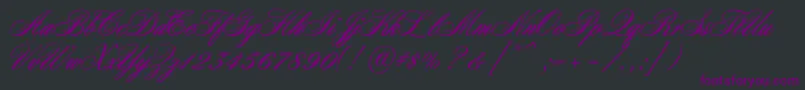 Nocturnec-Schriftart – Violette Schriften auf schwarzem Hintergrund