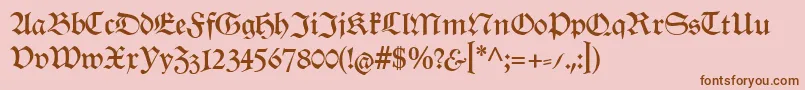 RenataCat Font – Brown Fonts on Pink Background