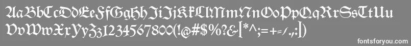 RenataCat Font – White Fonts on Gray Background