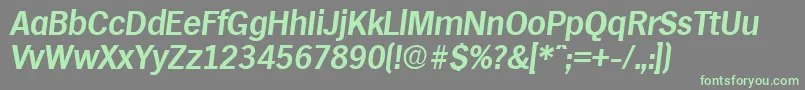 HamburgDemiboldita Font – Green Fonts on Gray Background