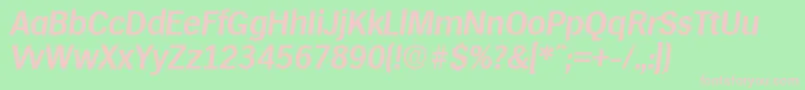 HamburgDemiboldita Font – Pink Fonts on Green Background