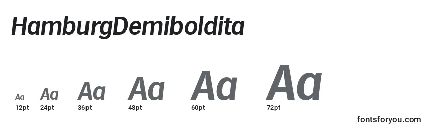 Размеры шрифта HamburgDemiboldita