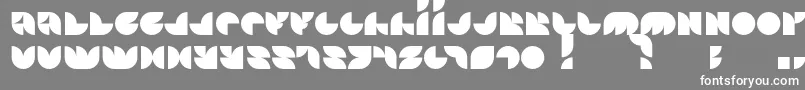 Otscookie Font – White Fonts on Gray Background