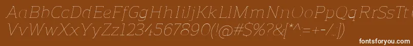 フォントReganslabUltralightitalic – 茶色の背景に白い文字