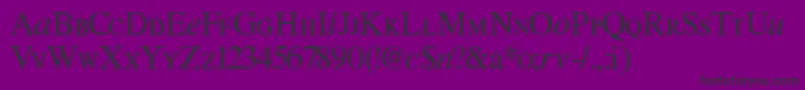 Willg Font – Black Fonts on Purple Background