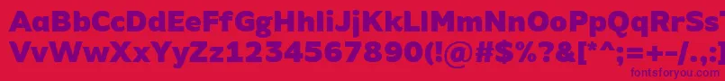 AminoAltBlack Font – Purple Fonts on Red Background