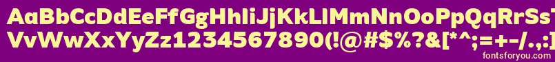 AminoAltBlack Font – Yellow Fonts on Purple Background