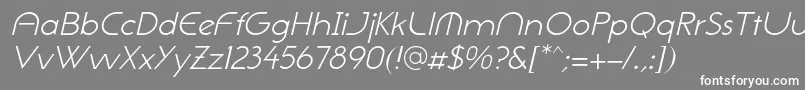 フォントNeogothisadfstdLightoblique – 灰色の背景に白い文字