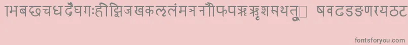 RkSanskrit Font – Gray Fonts on Pink Background
