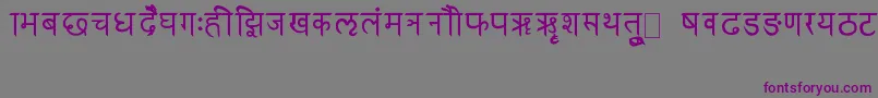 RkSanskrit Font – Purple Fonts on Gray Background