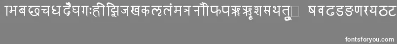 フォントRkSanskrit – 灰色の背景に白い文字