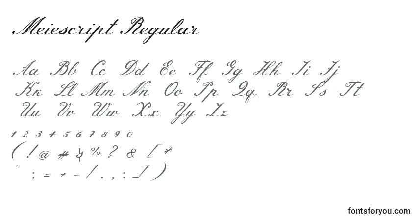 Шрифт MeiescriptRegular – алфавит, цифры, специальные символы