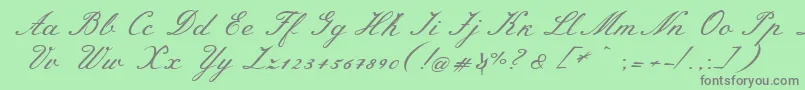 Police MeiescriptRegular – polices grises sur fond vert