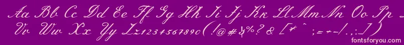 MeiescriptRegular Font – Pink Fonts on Purple Background