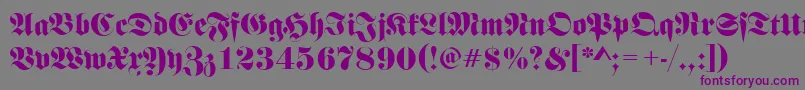 FrakturRegular Font – Purple Fonts on Gray Background