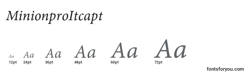 Размеры шрифта MinionproItcapt