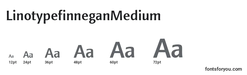 Размеры шрифта LinotypefinneganMedium