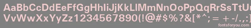 UniversРџРѕР»СѓР¶РёСЂРЅС‹Р№ Font – Pink Fonts on Gray Background