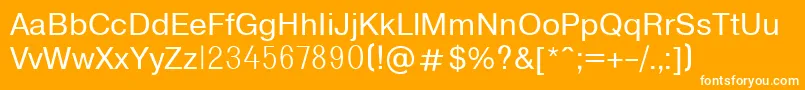 T1131 Font – White Fonts on Orange Background