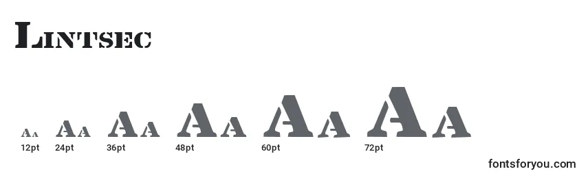 Lintsec Font Sizes