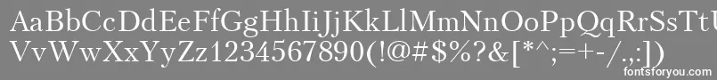 PetersburgCyrillic Font – White Fonts on Gray Background