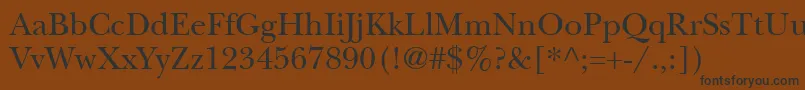 ItcNewBaskervilleLtRoman Font – Black Fonts on Brown Background