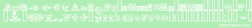 Asylbekm05.Kz Font – White Fonts on Green Background