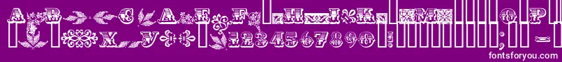 Asylbekm05.Kz Font – White Fonts on Purple Background