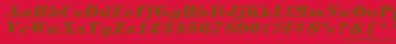 SophisticateBlackSsiExtraBoldItalic Font – Brown Fonts on Red Background