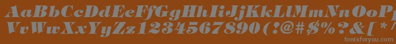 SophisticateBlackSsiExtraBoldItalic-Schriftart – Graue Schriften auf braunem Hintergrund
