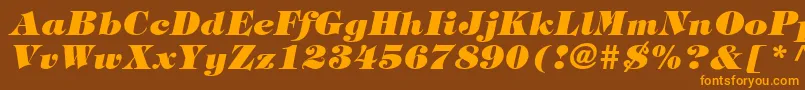 SophisticateBlackSsiExtraBoldItalic-Schriftart – Orangefarbene Schriften auf braunem Hintergrund