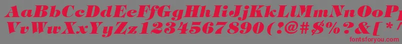SophisticateBlackSsiExtraBoldItalic Font – Red Fonts on Gray Background