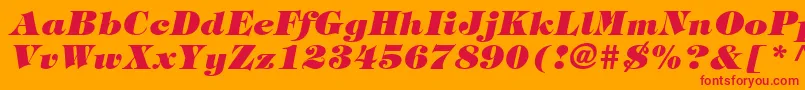 SophisticateBlackSsiExtraBoldItalic Font – Red Fonts on Orange Background