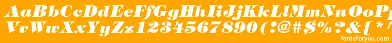 SophisticateBlackSsiExtraBoldItalic Font – White Fonts on Orange Background