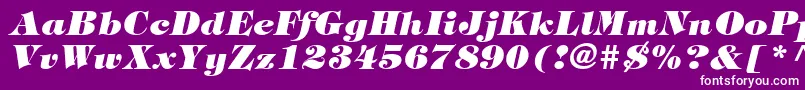 フォントSophisticateBlackSsiExtraBoldItalic – 紫の背景に白い文字