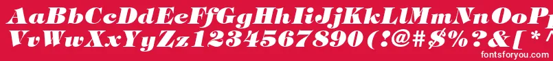 SophisticateBlackSsiExtraBoldItalic Font – White Fonts on Red Background