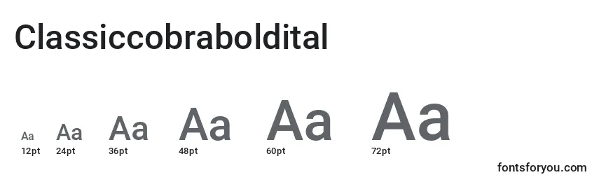 Classiccobraboldital Font Sizes