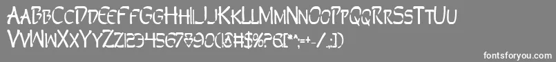 Perdv2b Font – White Fonts on Gray Background