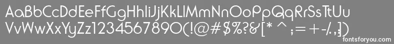 Neuselightssk Font – White Fonts on Gray Background