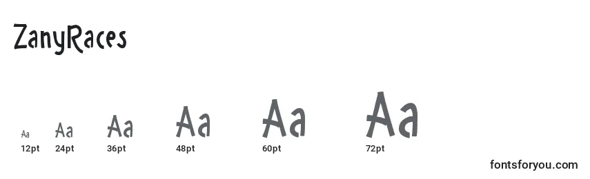 ZanyRaces Font Sizes