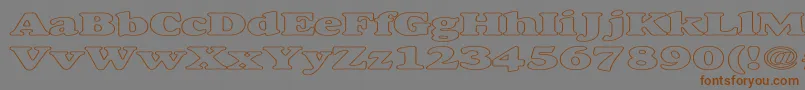 AlfredoHeavyHollowExpanded Font – Brown Fonts on Gray Background